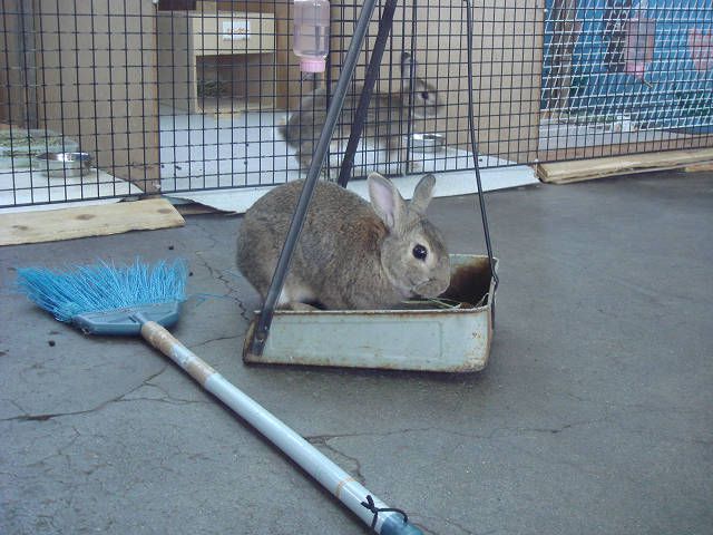 久々のちりとり～。