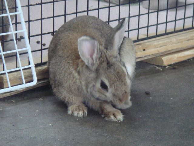 男の身だしなみ