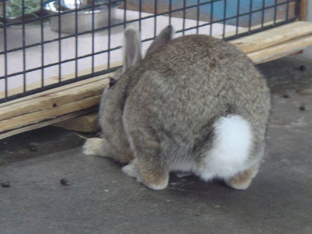 歯、かゆいな～。