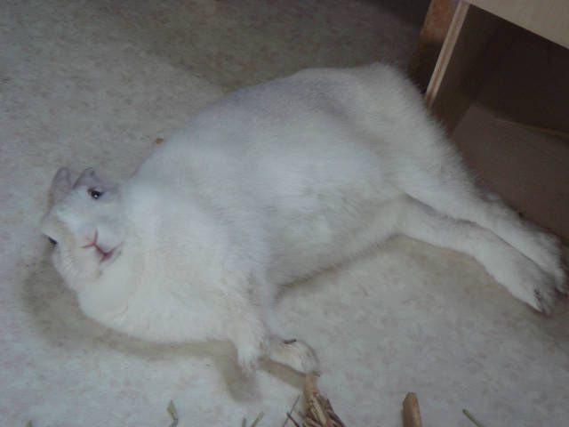 風よ、吹け吹け～。