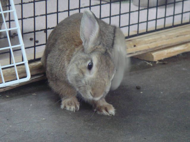 なんだがかゆいな～。