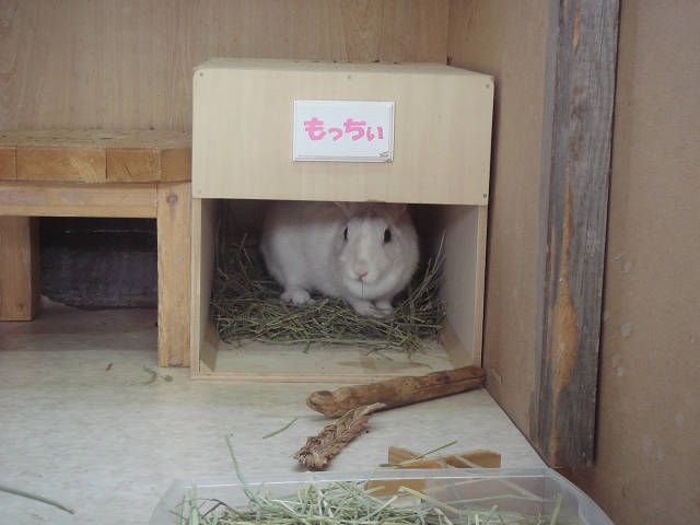 見どころいっぱいです！