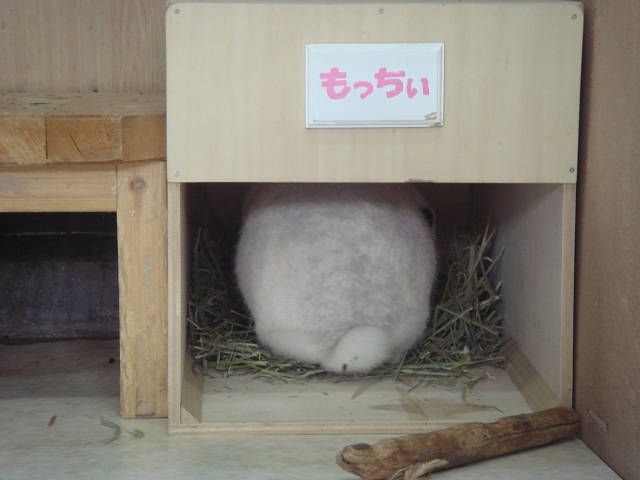 確かに？もっちぃ・・。