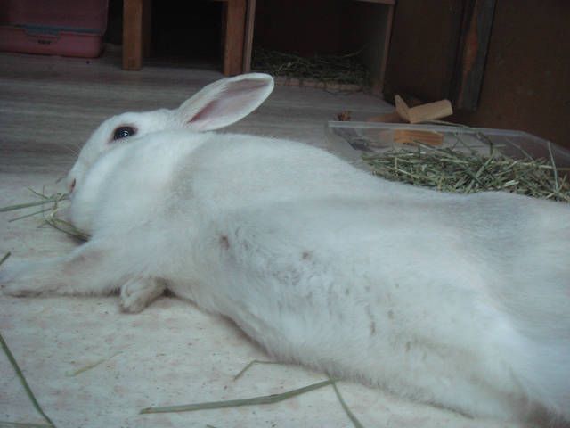 今日ものびのび～ん。