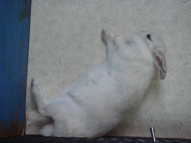 子どもたちがいっぱいきたよ！