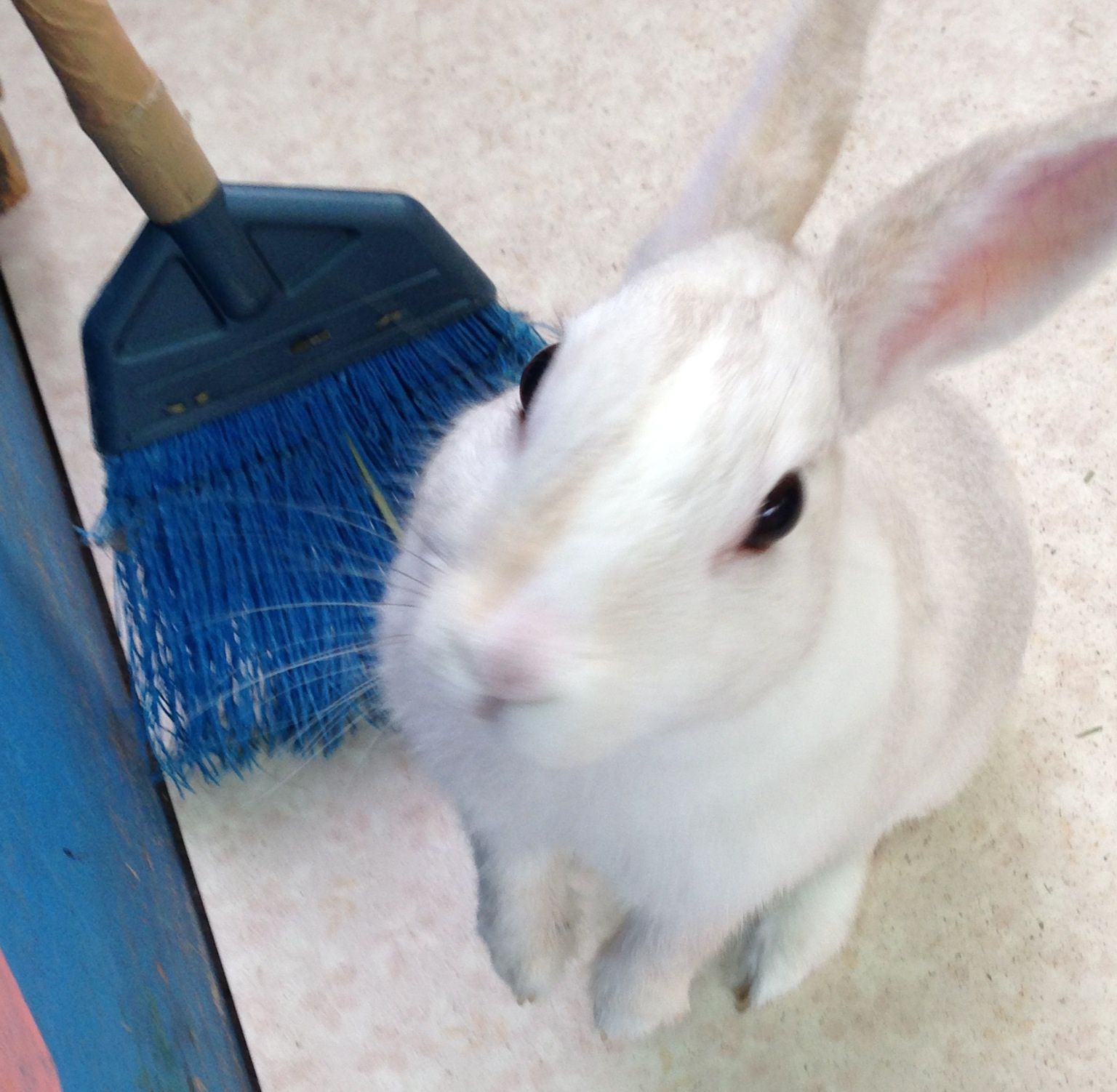 背伸び～。
