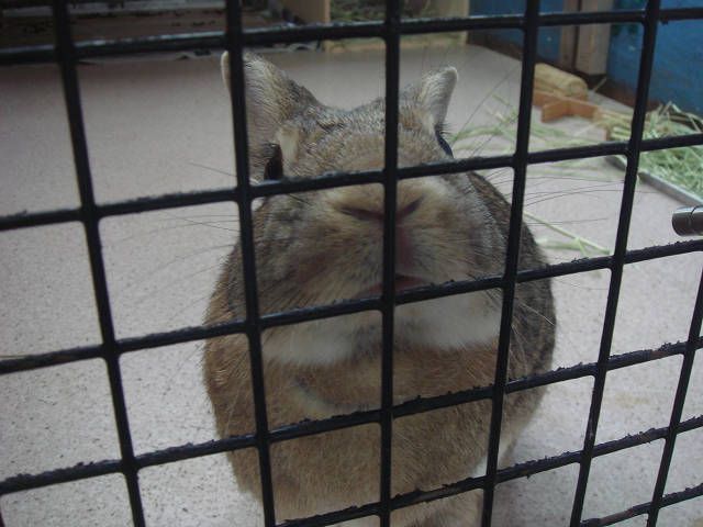 暑くなってきた！