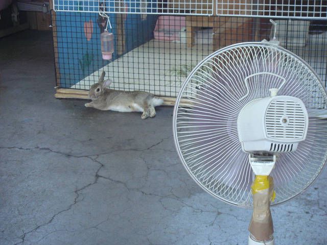 ぶい～ん