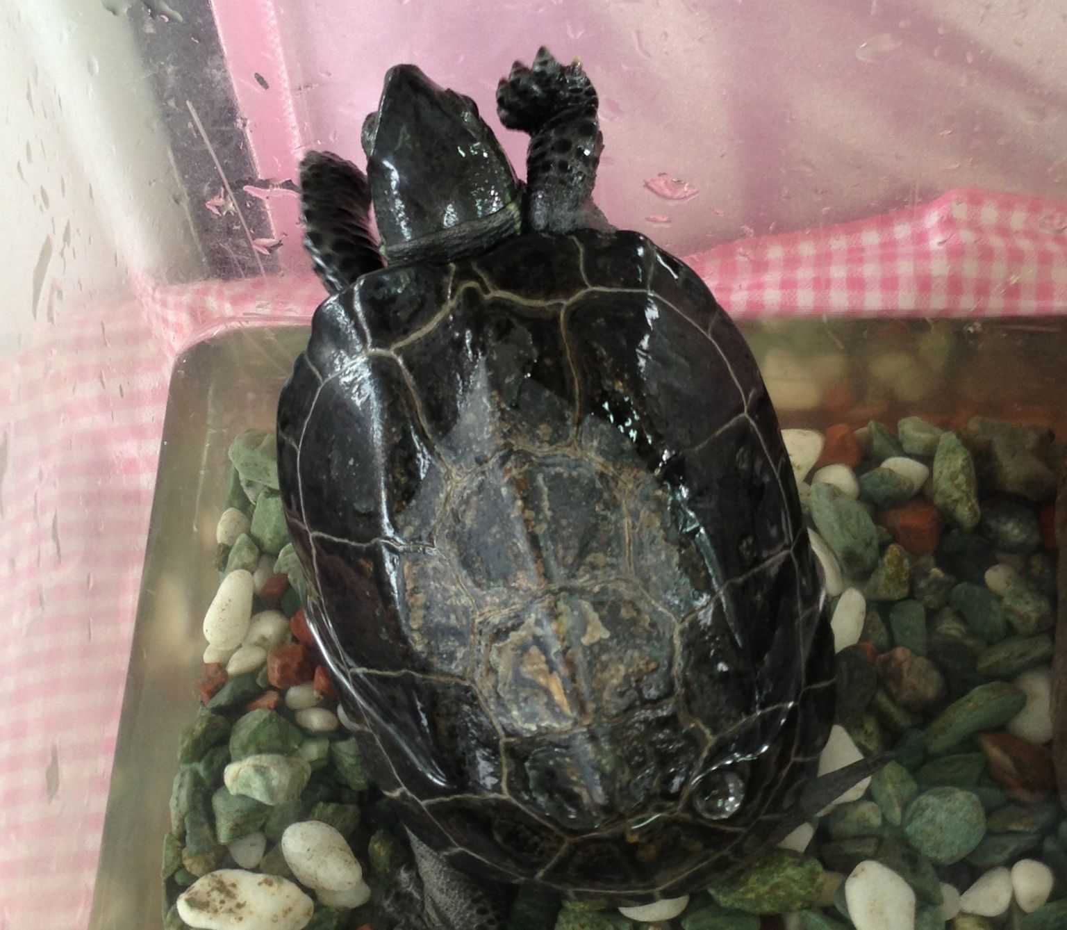 出勤中。