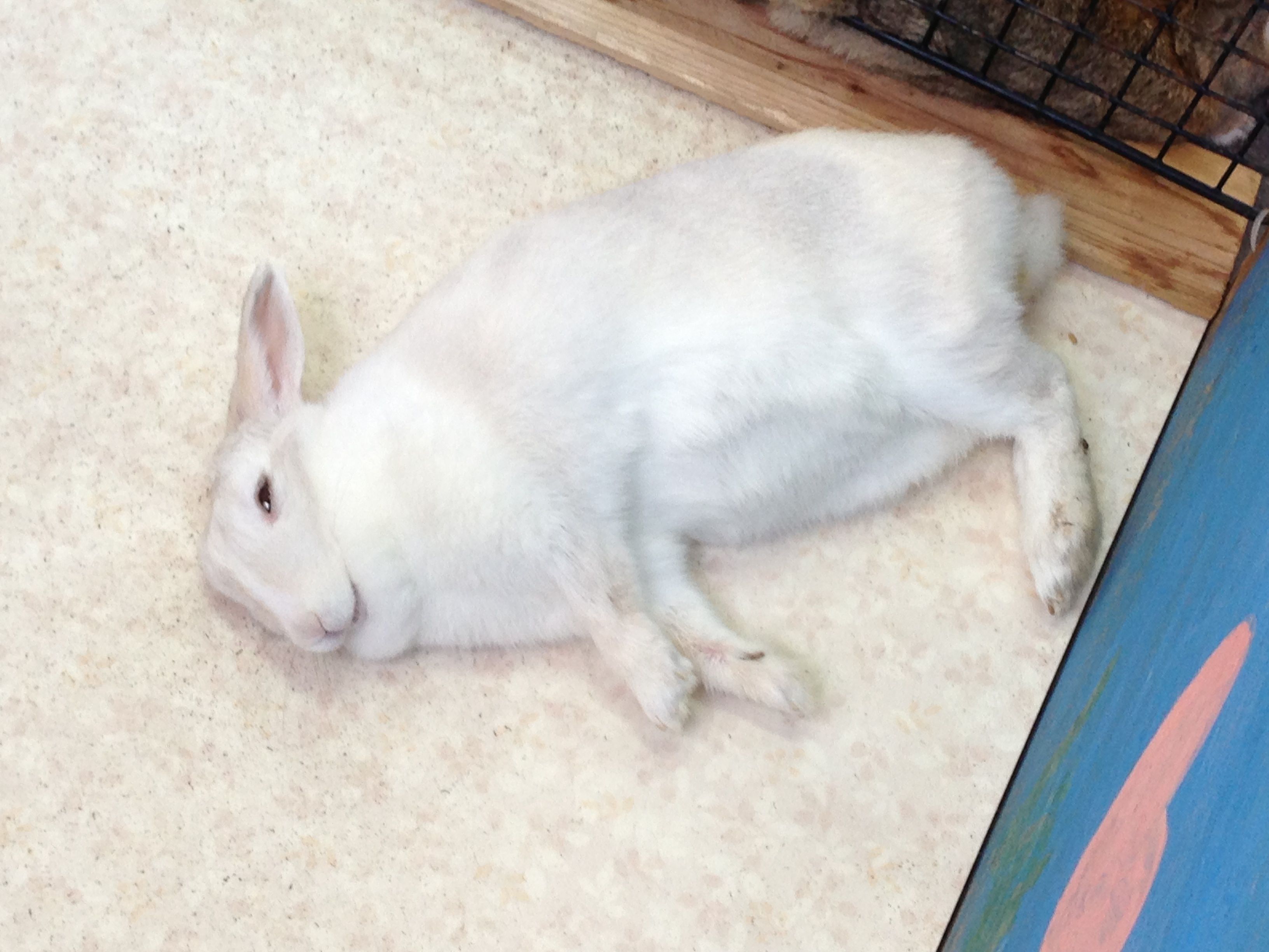 ちょっとコワイ顔。。