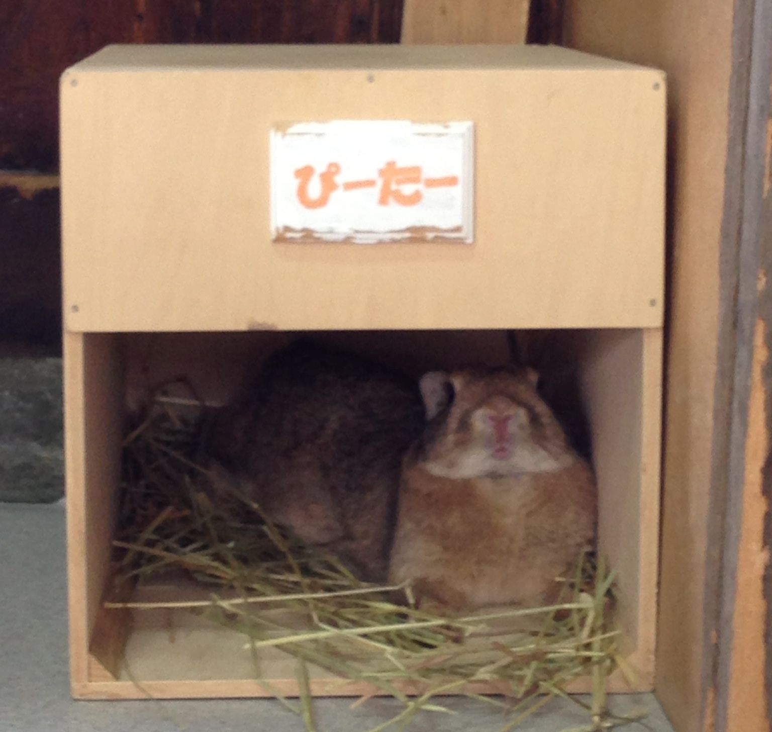 より涼しいところ！