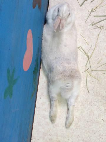 伸びきってます。