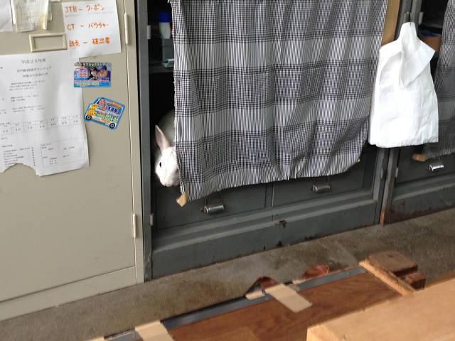呼んだ？？
