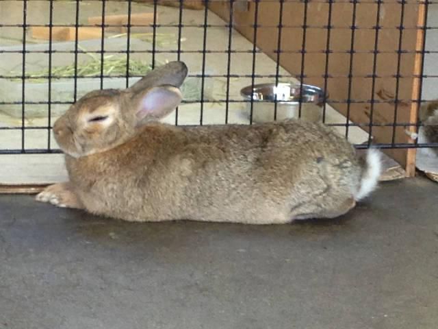 ウトウト……