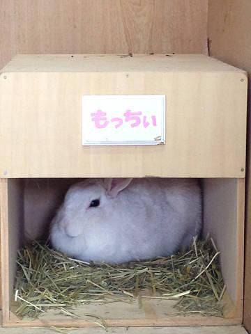 明日はいよいよ！！