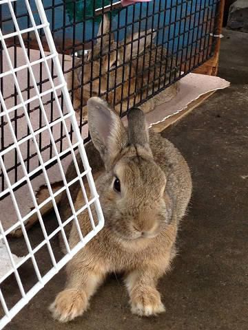 今朝は外真っ白だった～！！！