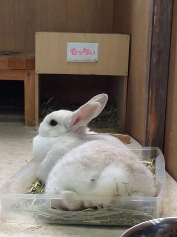 寒がりのわだし