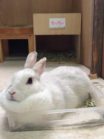 今日は正面から！