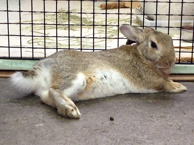 ふぃ～。