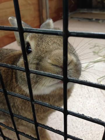 僕も早く出たいな～。