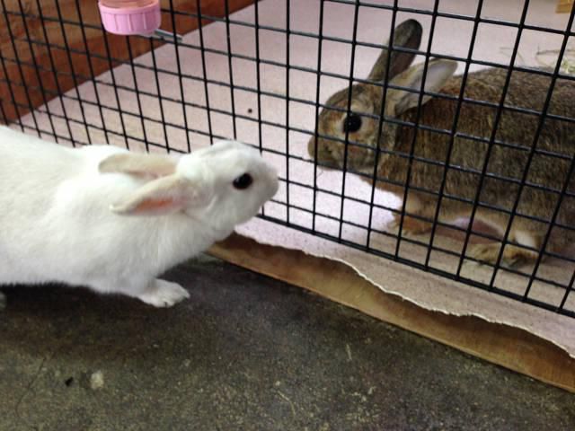 ドキッドキッドキ！！
