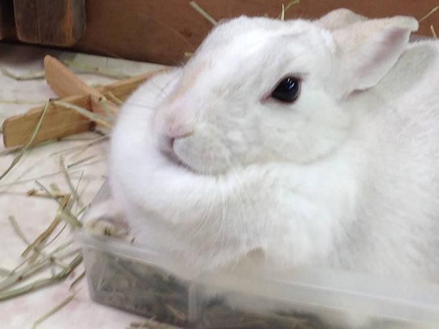 久々のにぎわい。