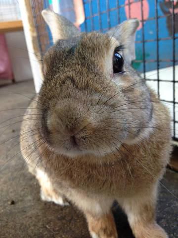 ねぇねぇ！