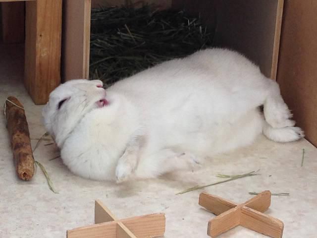 癒されるな～。