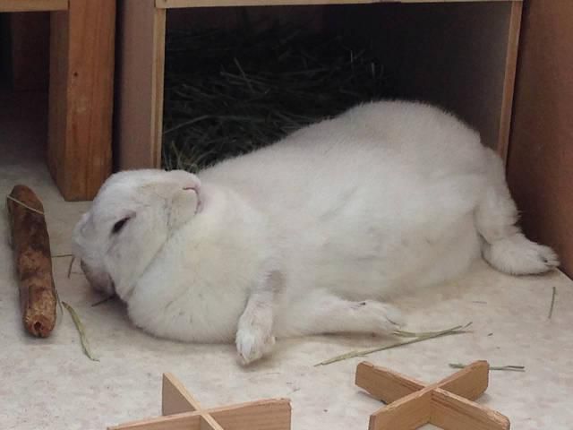 ☆お知らせ☆