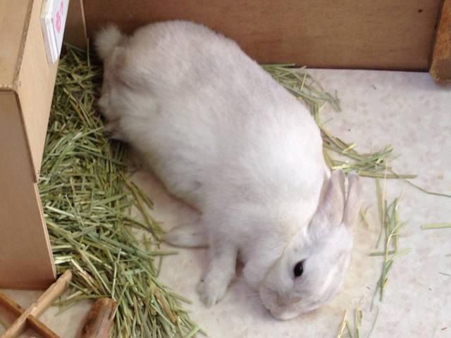 眠たいな～。