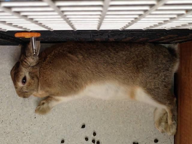 今日から4月だない～。