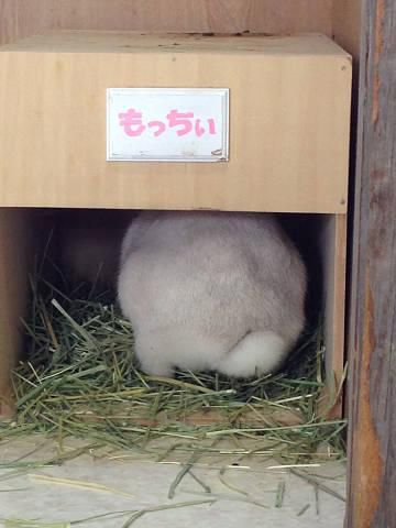 ほりほりほりほり。。