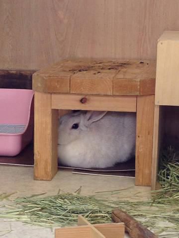 お部屋すっきり。