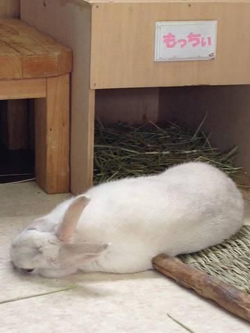 今日はちょっと晴れ