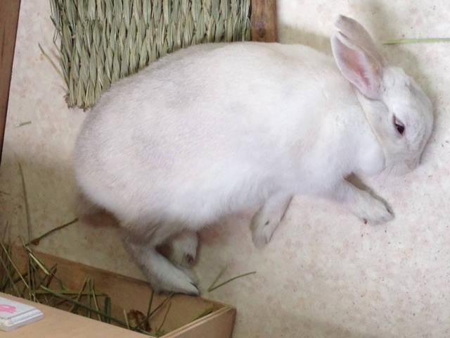 今日も