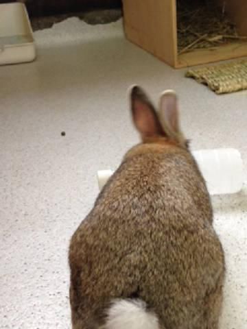 昨日は