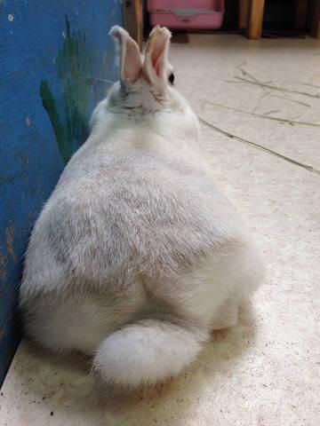 こっちむいて～。