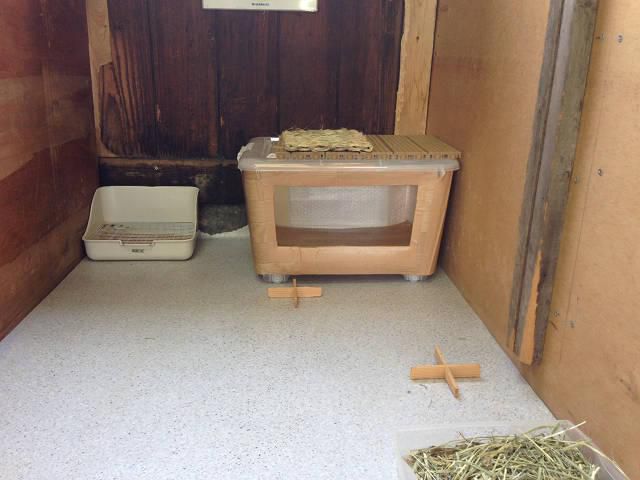 素敵な贈り物