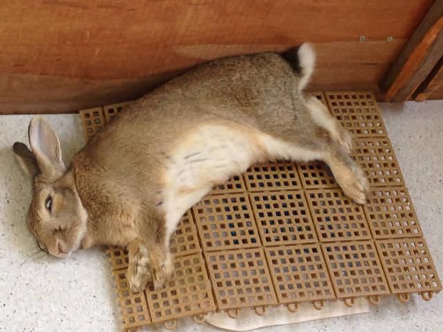幸せだ～～。