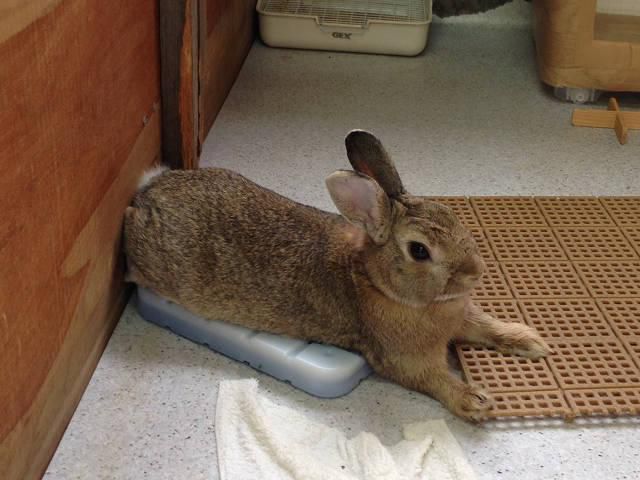 学びました。