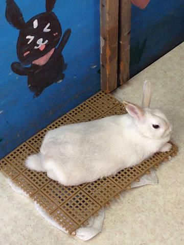 私も覚えました。