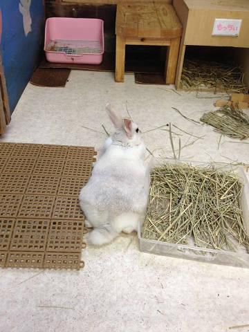 この隙間が。