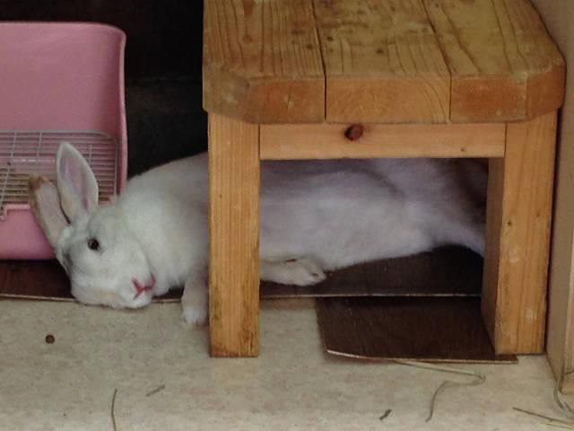 あっついわ～～。