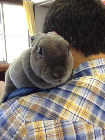 すずちゃんが会いに来てくれました。