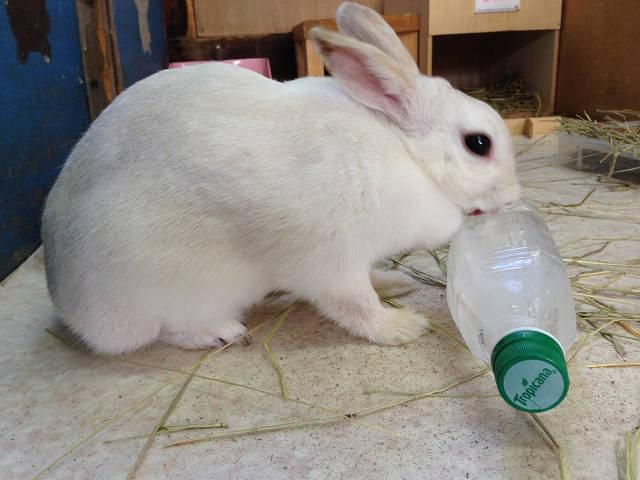 今日は日曜日