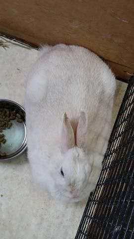 もっちぃ！