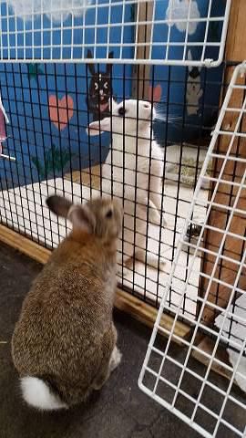 ☆もっちぃ　ぴーたー☆
