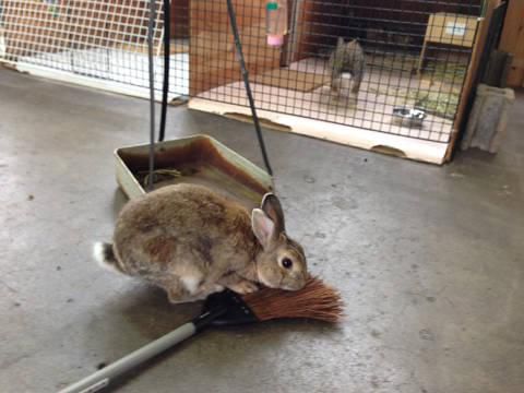 新しい掃除用具