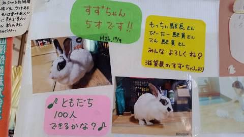 すずちゃん