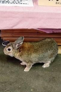 涼しさ通り越して寒くなってきましたね